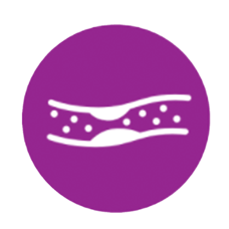 Health Condition Icon