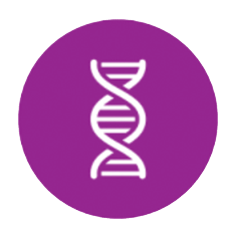 Health Condition Icon